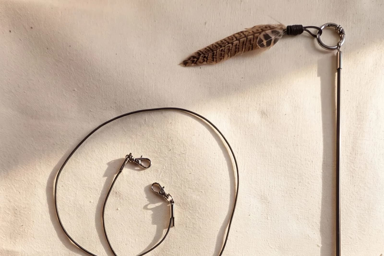 What Your Cat Actually Wants From a Toy