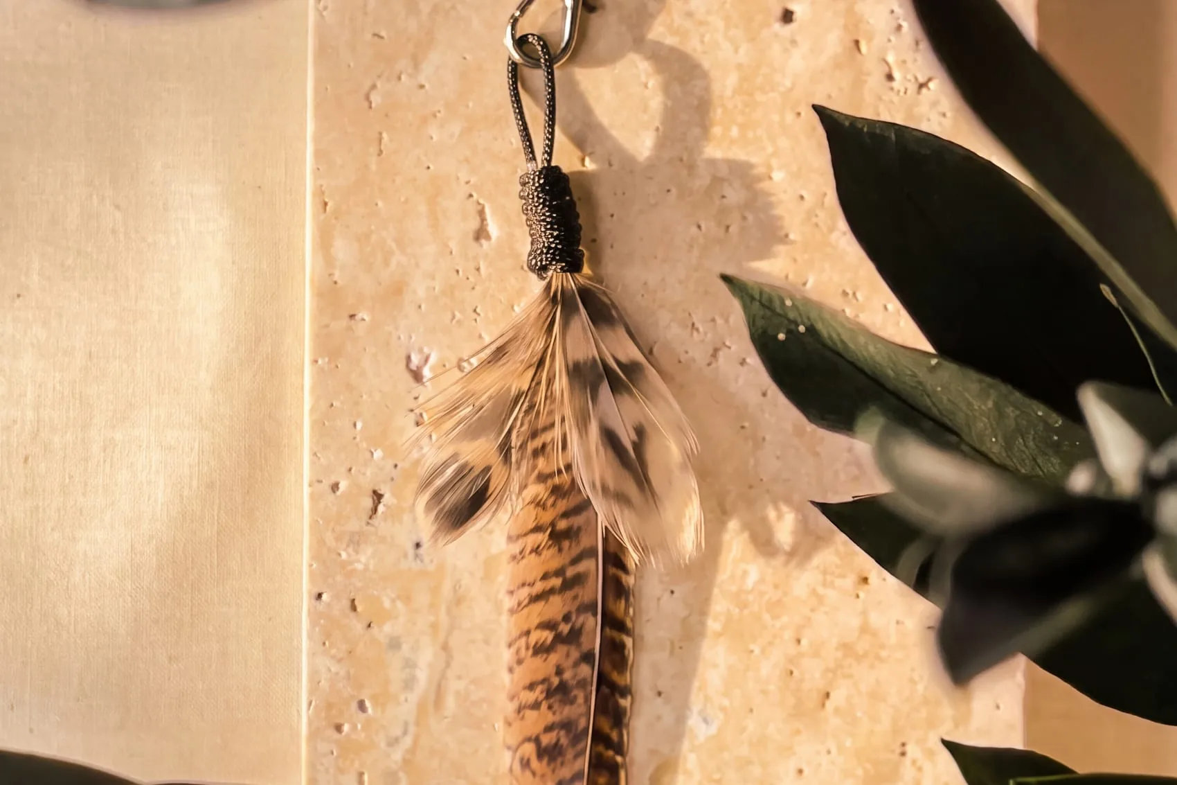 What Makes a Cat Wand Actually Last